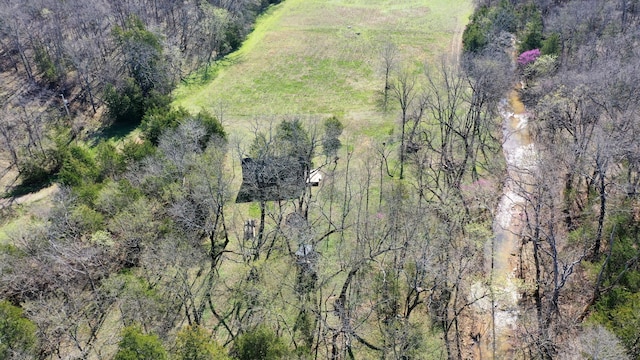 118 Bethel Rd, Long Lane, MO 65590 - birds eye view of property with a view of trees