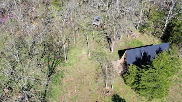 118 Bethel Rd, Long Lane, MO 65590 - drone / aerial view