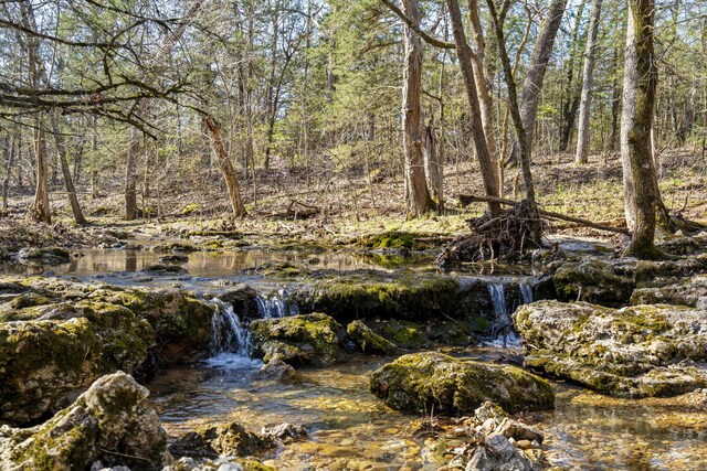 118 Bethel Rd, Long Lane, MO 65590 - view of nature