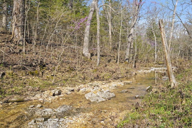 118 Bethel Rd, Long Lane, MO 65590 - view of local wilderness