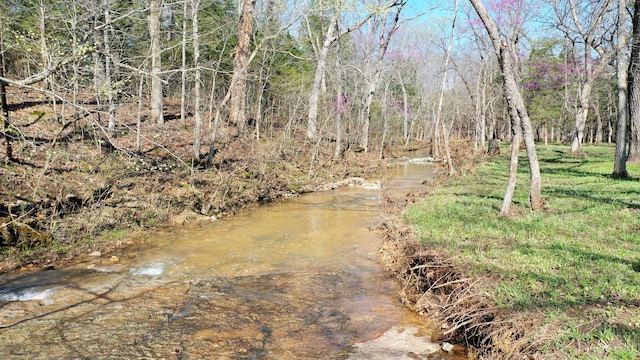118 Bethel Rd, Long Lane, MO 65590 - property view of water