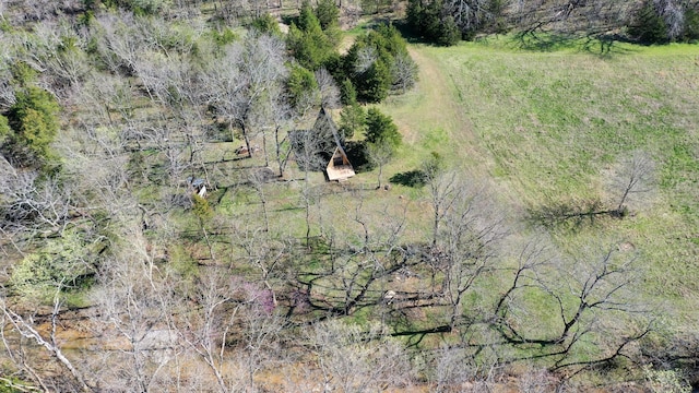 118 Bethel Rd, Long Lane, MO 65590 - birds eye view of property