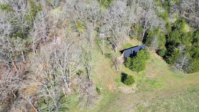 118 Bethel Rd, Long Lane, MO 65590 - aerial view