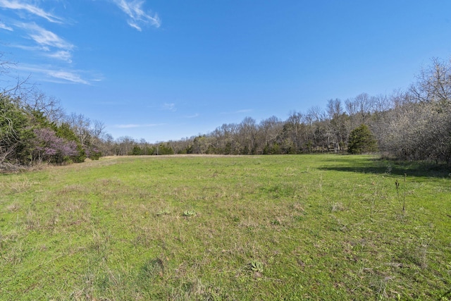 118 Bethel Rd, Long Lane, MO 65590 - view of yard with a rural view and a wooded view