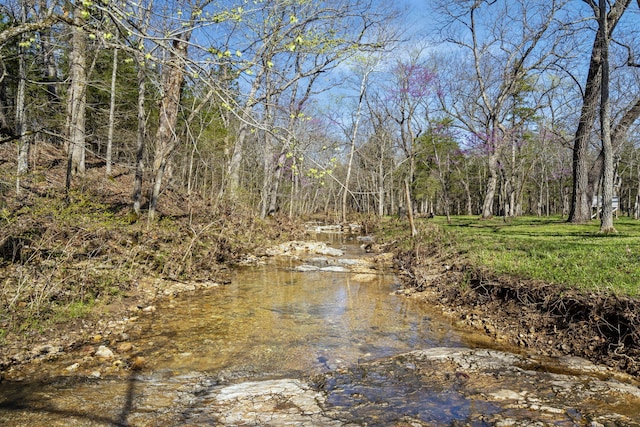 118 Bethel Rd, Long Lane, MO 65590 - water view