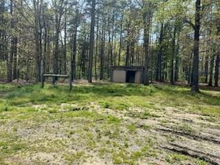 view of yard with an outdoor structure and a storage unit