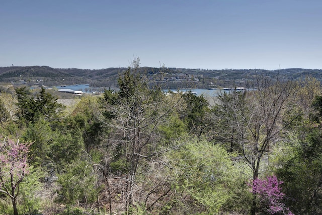 24 Village Trl Unit 5-8, Branson, MO 65616 - mountain view featuring a water view