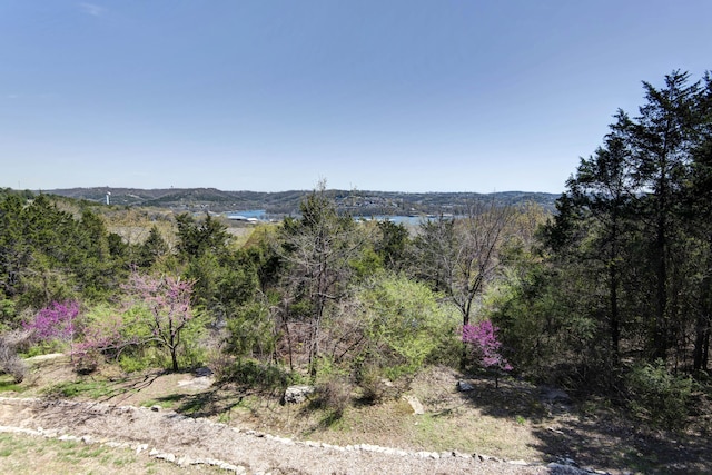 24 Village Trl Unit 5-8, Branson, MO 65616 - view of mountain feature