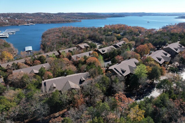 24 Village Trl Unit 5-8, Branson, MO 65616 - photo 38