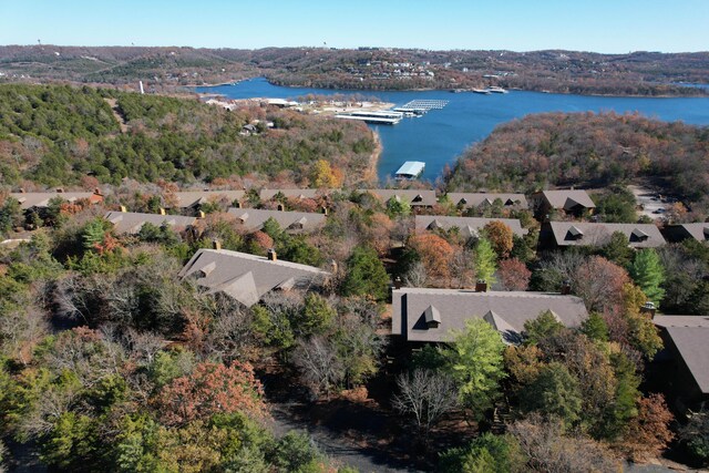 24 Village Trl Unit 5-8, Branson, MO 65616 - photo 37
