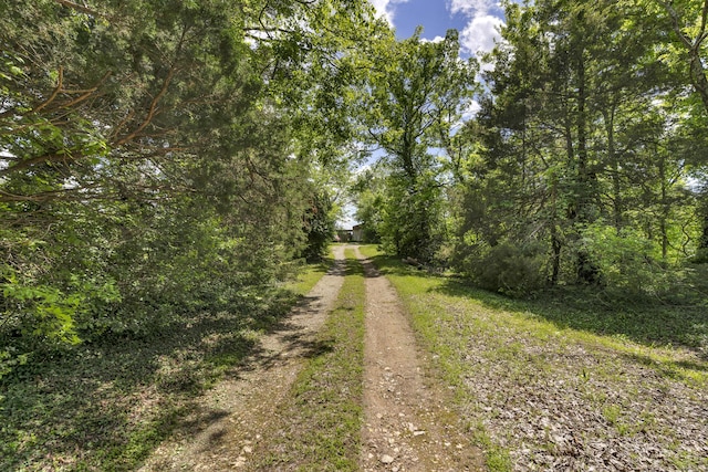 view of road featuring dirt driveway