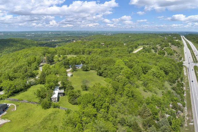bird's eye view with a forest view
