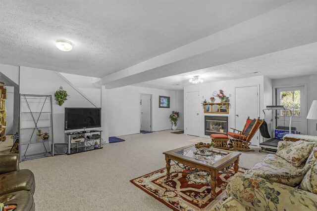 335 State Highway 265, Hollister, MO 65672 - living area featuring carpet, a textured ceiling, and a glass covered fireplace