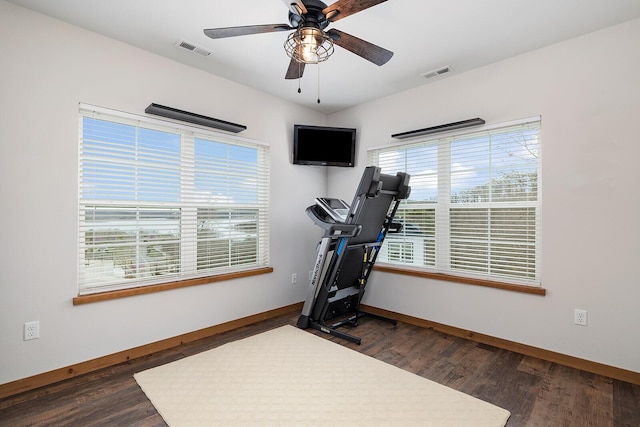exercise room with dark wood finished floors, visible vents, baseboards, and ceiling fan