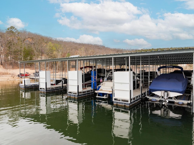 view of dock with a water view and boat lift