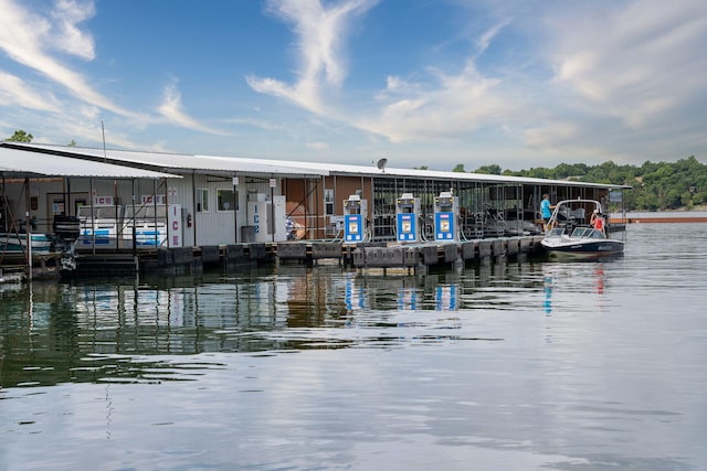 dock area with a water view