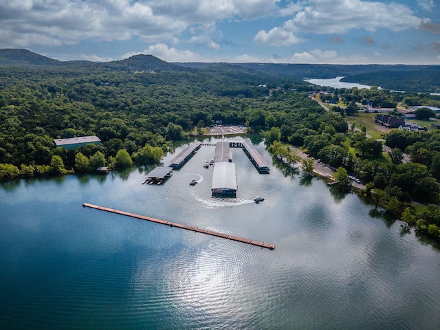 aerial view featuring a forest view and a water view