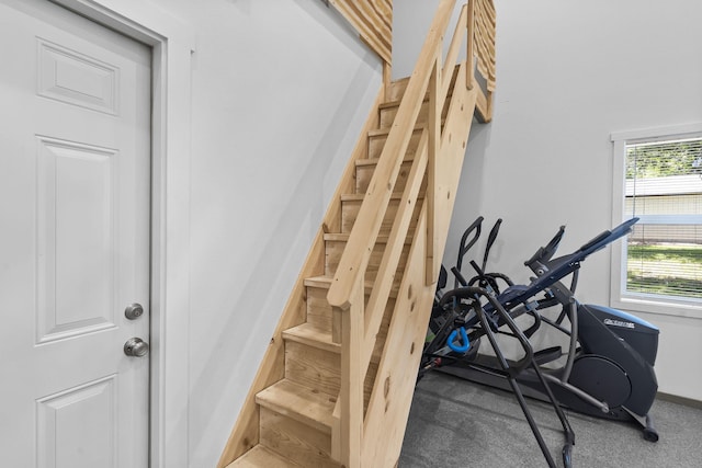 stairs with carpet flooring
