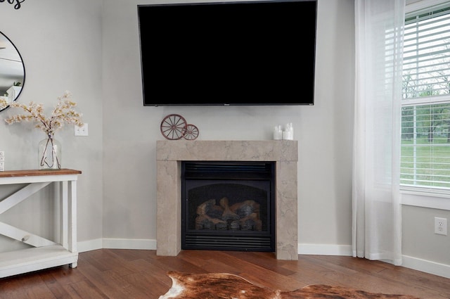 room details featuring baseboards, wood finished floors, and a high end fireplace