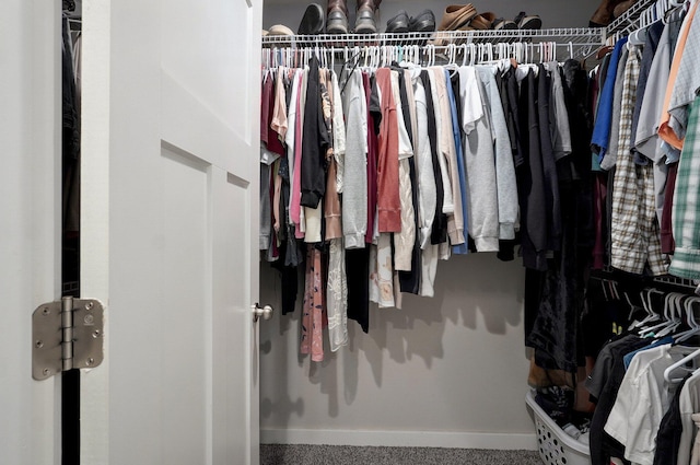 view of walk in closet