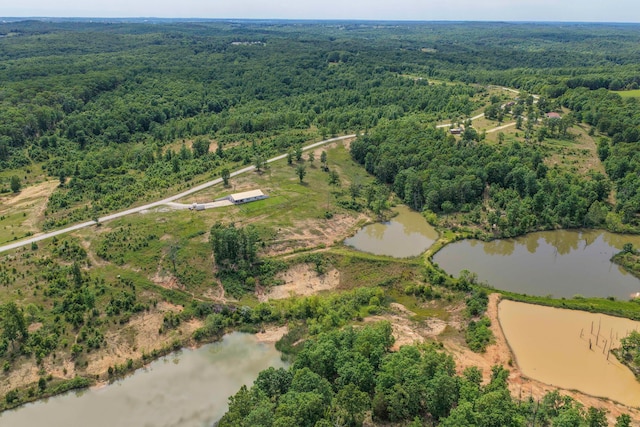 3600 Steven Dr, Cabool, MO 65689 - bird's eye view of a heavily wooded area and a nearby body of water
