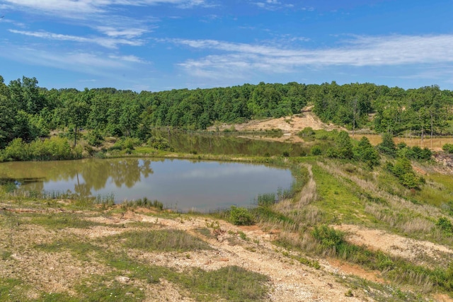 3600 Steven Dr, Cabool, MO 65689 - water view with a forest