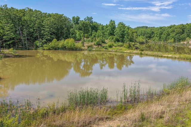 3600 Steven Dr, Cabool, MO 65689 - water view featuring a heavily wooded area