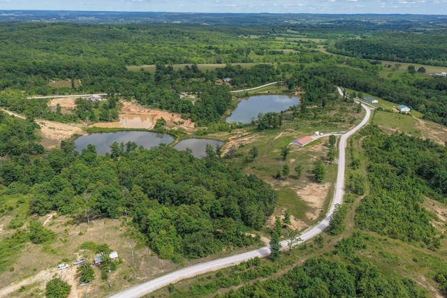 3600 Steven Dr, Cabool, MO 65689 - view of property location featuring a nearby body of water and a forest