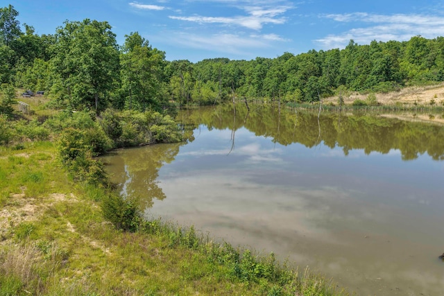 3600 Steven Dr, Cabool, MO 65689 - water view with a forest