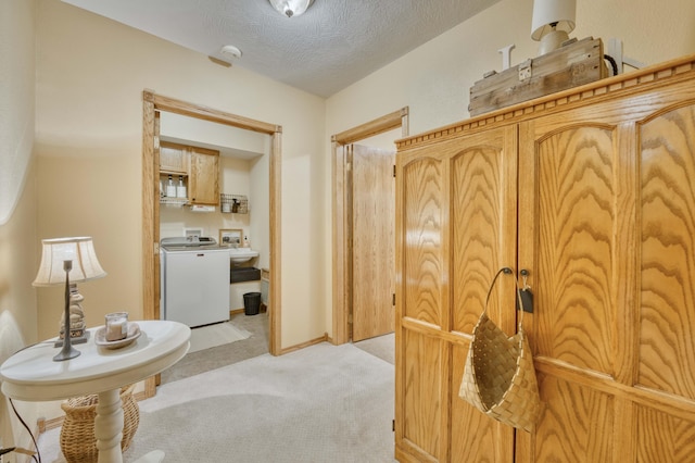 50 Tall Tree Dr, Strafford, MO 65757 - hallway with light colored carpet, washer / clothes dryer, and a textured ceiling