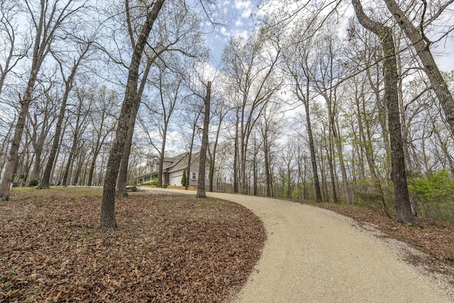 50 Tall Tree Dr, Strafford, MO 65757 - view of property's community featuring driveway