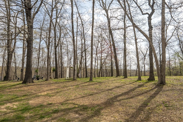 50 Tall Tree Dr, Strafford, MO 65757 - view of landscape
