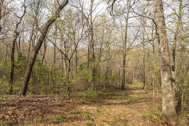 50 Tall Tree Dr, Strafford, MO 65757 - view of local wilderness with a forest view