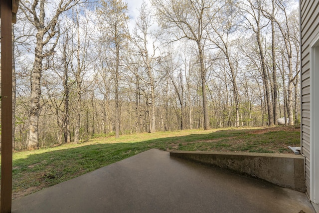 50 Tall Tree Dr, Strafford, MO 65757 - view of yard featuring a patio area