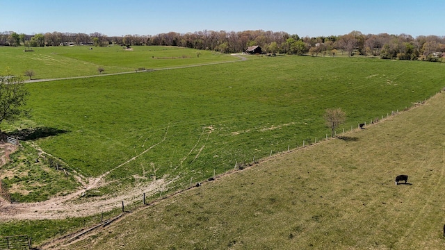 231 Cedar Stone, Ozark, MO 65721 - bird's eye view featuring a rural view