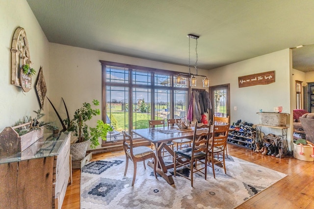 19800 Providence Dr, Lebanon, MO 65536 - dining area with wood-type flooring