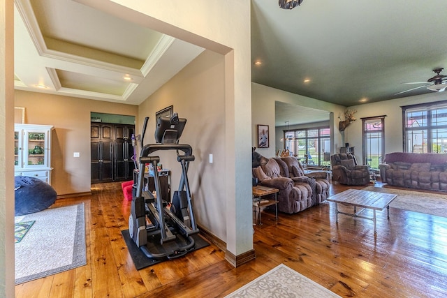 19800 Providence Dr, Lebanon, MO 65536 - workout area with hardwood / wood-style flooring, a wealth of natural light, and a ceiling fan