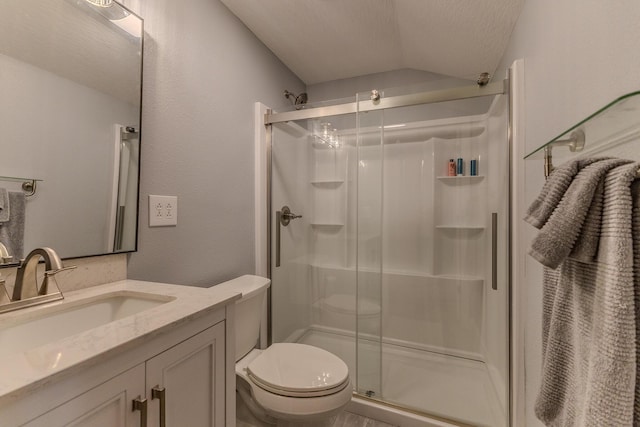 19800 Providence Dr, Lebanon, MO 65536 - bathroom with a shower stall, vaulted ceiling, toilet, and vanity
