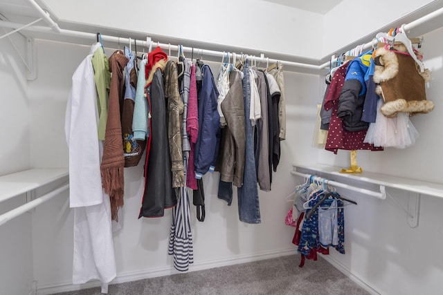 walk in closet with carpet flooring