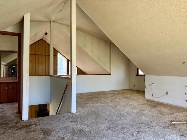 additional living space featuring vaulted ceiling, a textured ceiling, and carpet