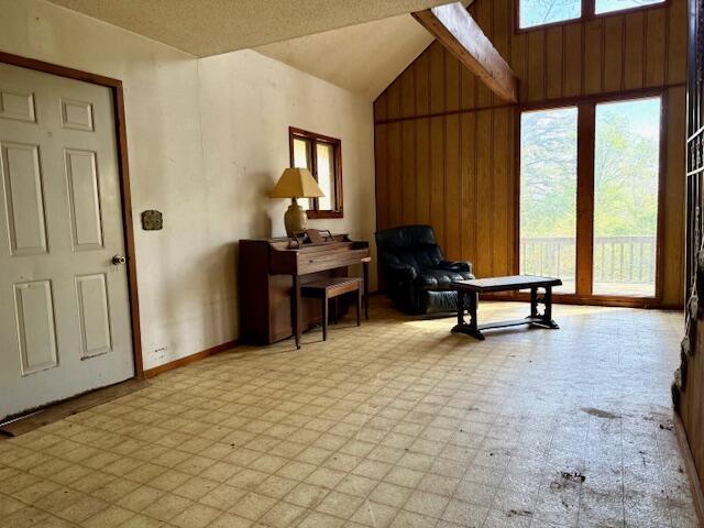 living area featuring lofted ceiling