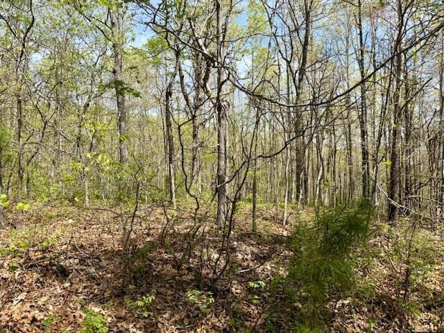 view of local wilderness with a wooded view