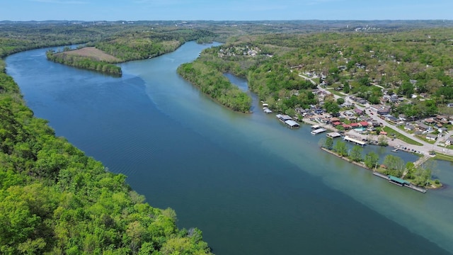 295 Glendale St, Rockaway Beach, MO 65740 - birds eye view of property featuring a water view and a forest view