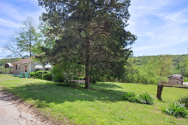 295 Glendale St, Rockaway Beach, MO 65740 - view of yard