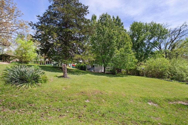 295 Glendale St, Rockaway Beach, MO 65740 - view of yard
