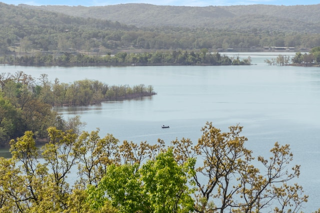 67 Port Dr Unit 7, Kimberling City, MO 65686 - property view of water with a mountain view and a view of trees