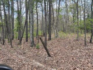 0000 Edgemond Dr, Hartshorn, MO 65479