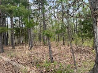 0000 Edgemond Dr, Hartshorn, MO 65479