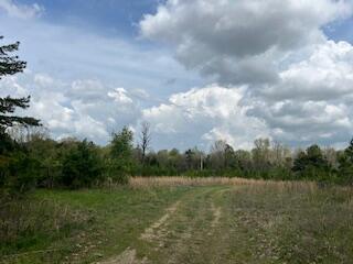 0000 Edgemond Dr, Hartshorn, MO 65479