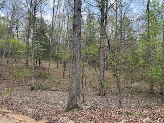 0000 Edgemond Dr, Hartshorn, MO 65479